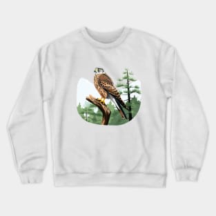 Kestrel Crewneck Sweatshirt